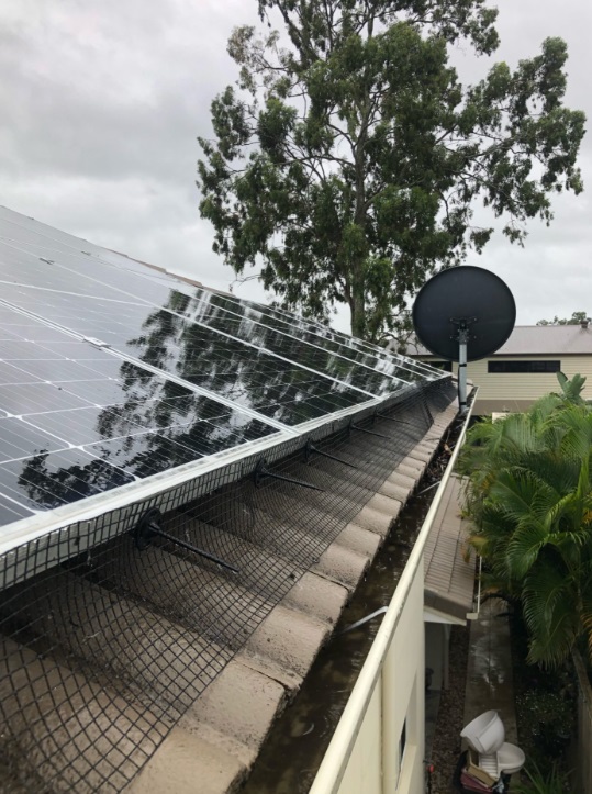 solar panel cleaning