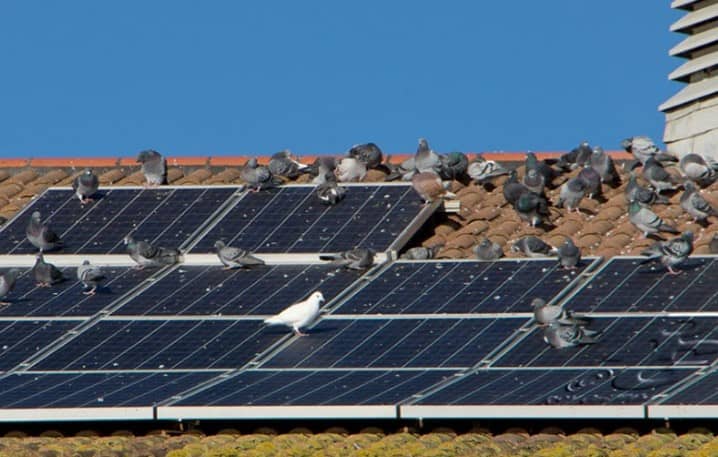 Solar Panel Setup