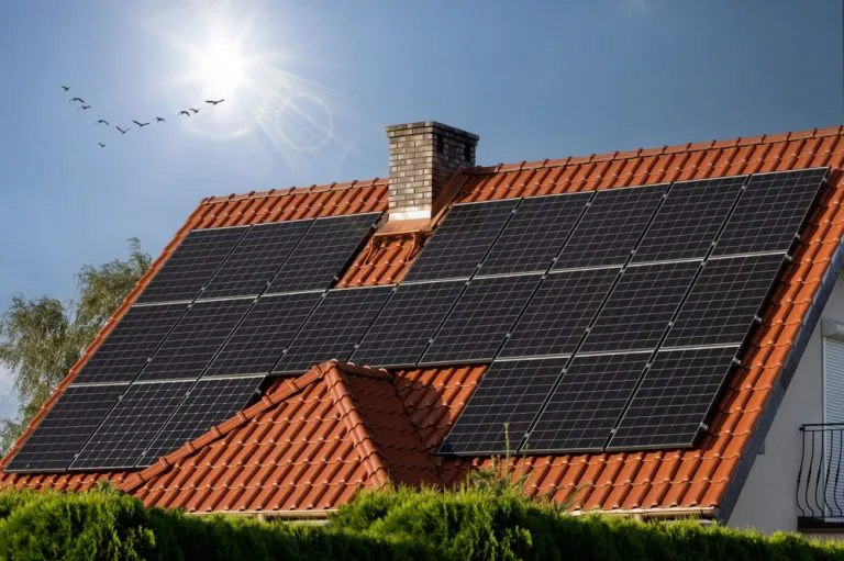 Beyond Cleaning: Maintenance Services Offered by Affordable Solar Cleaning Pros