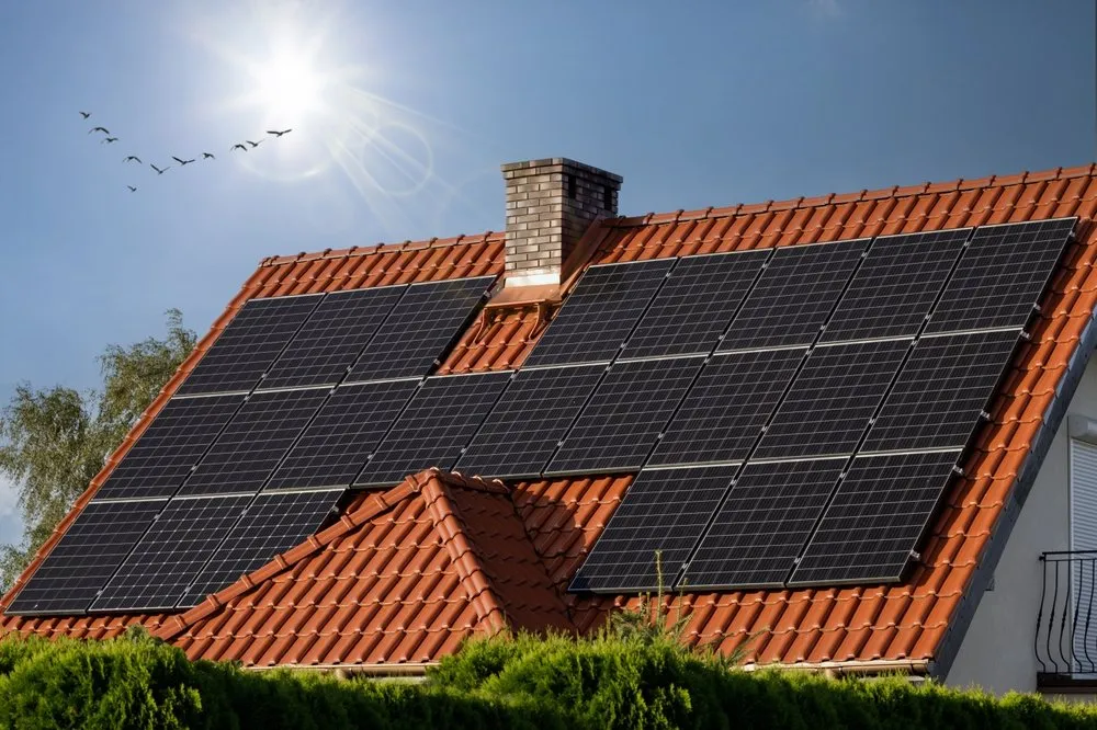 Solar panels are installed on the roof of a house with red tiles. The sun is shining brightly in a clear sky, and a flock of birds is flying nearby. Green foliage is visible at the bottom of the image.
