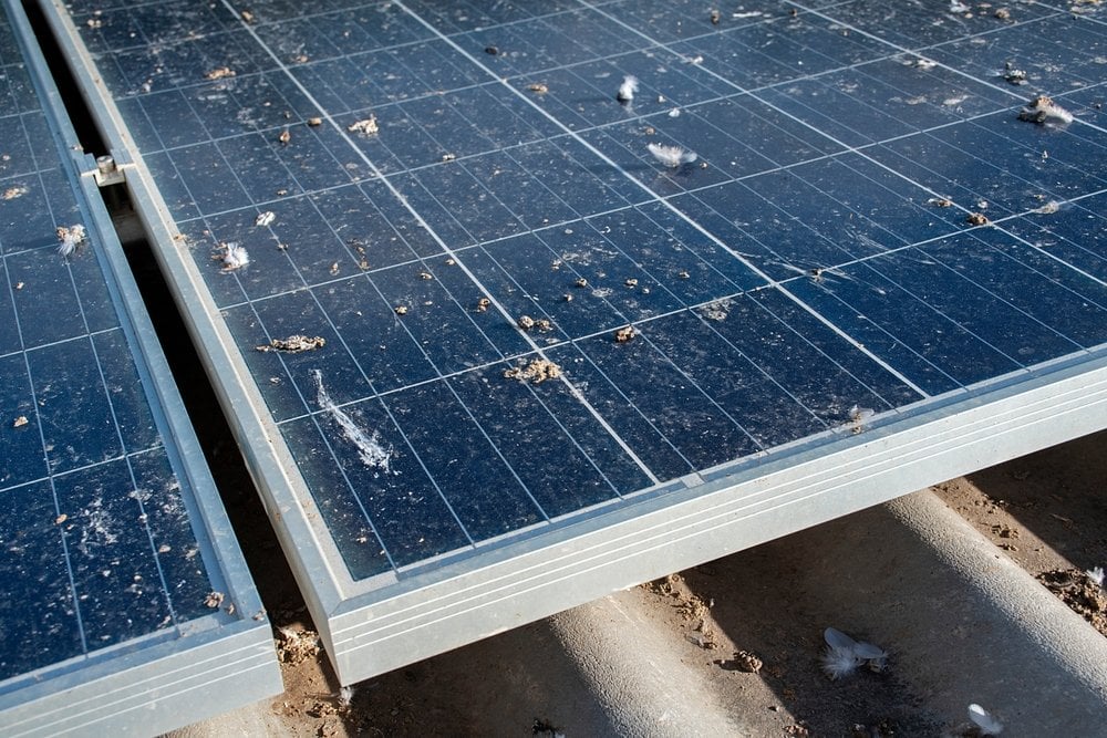 Dirty solar panels covered with bird droppings and dust, reducing their efficiency. The panels are mounted on a rooftop or ground installation, and some debris is visible on the surface.