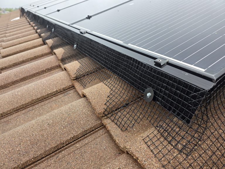 Why Bird Proofing Is an Important Step in Protecting Solar Panels and Roof Structures