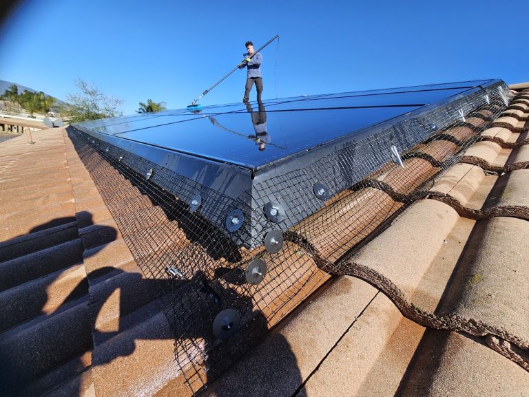 Finding The Best Bird Proofing In North Fontana